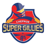 Chepauk Super Gillies